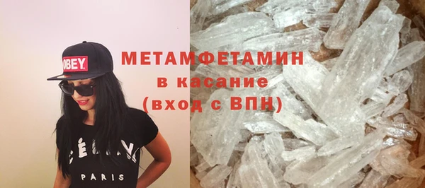 прущие грибы Вязники