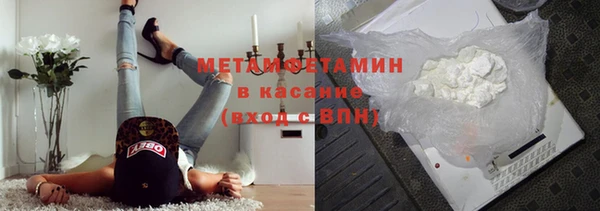 прущие грибы Вязники