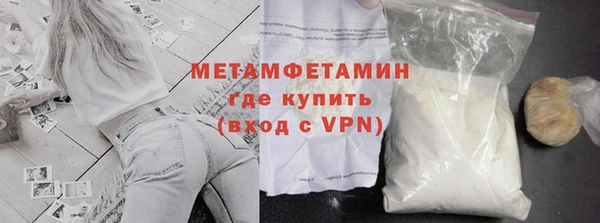 прущие грибы Вязники