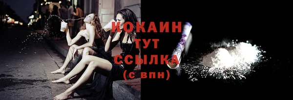 прущие грибы Вязники