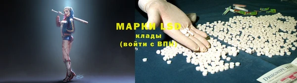 прущие грибы Вязники