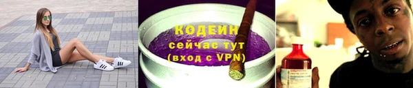 прущие грибы Вязники