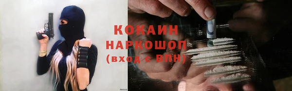 прущие грибы Вязники
