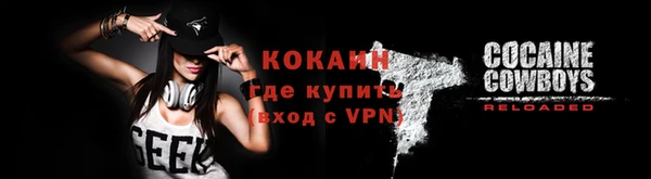 прущие грибы Вязники