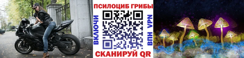 Псилоцибиновые грибы мицелий  Орехово-Зуево 